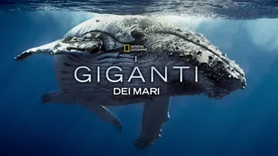 I giganti dei mari