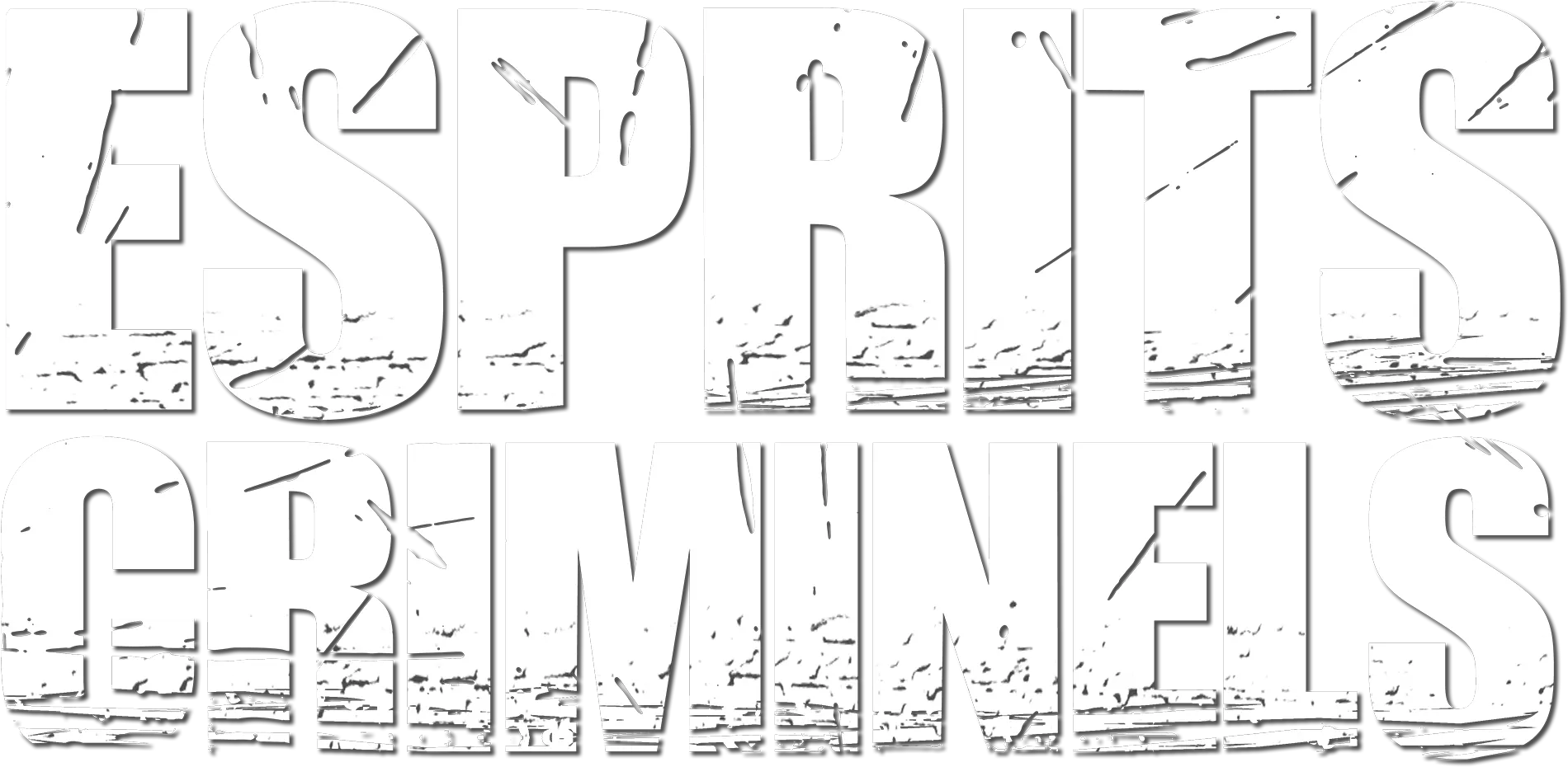 Esprits criminels