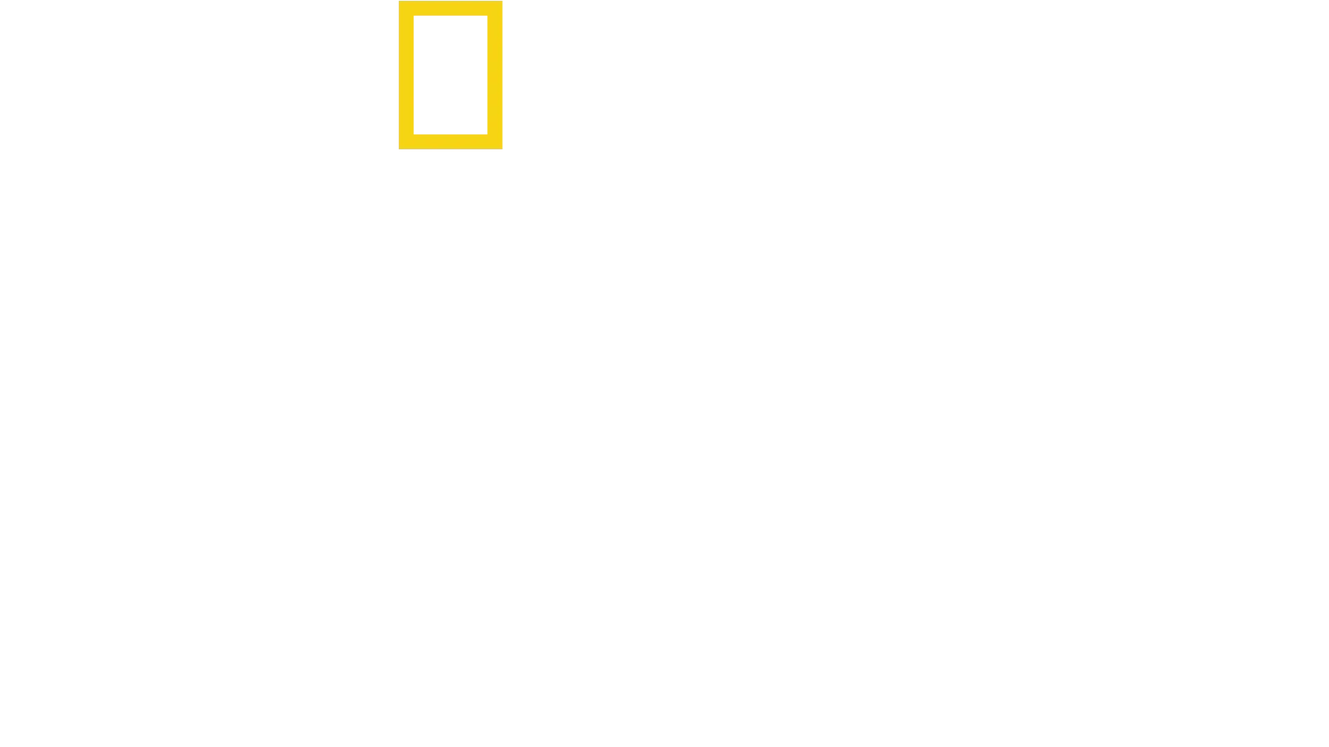 安東尼的星級家常菜