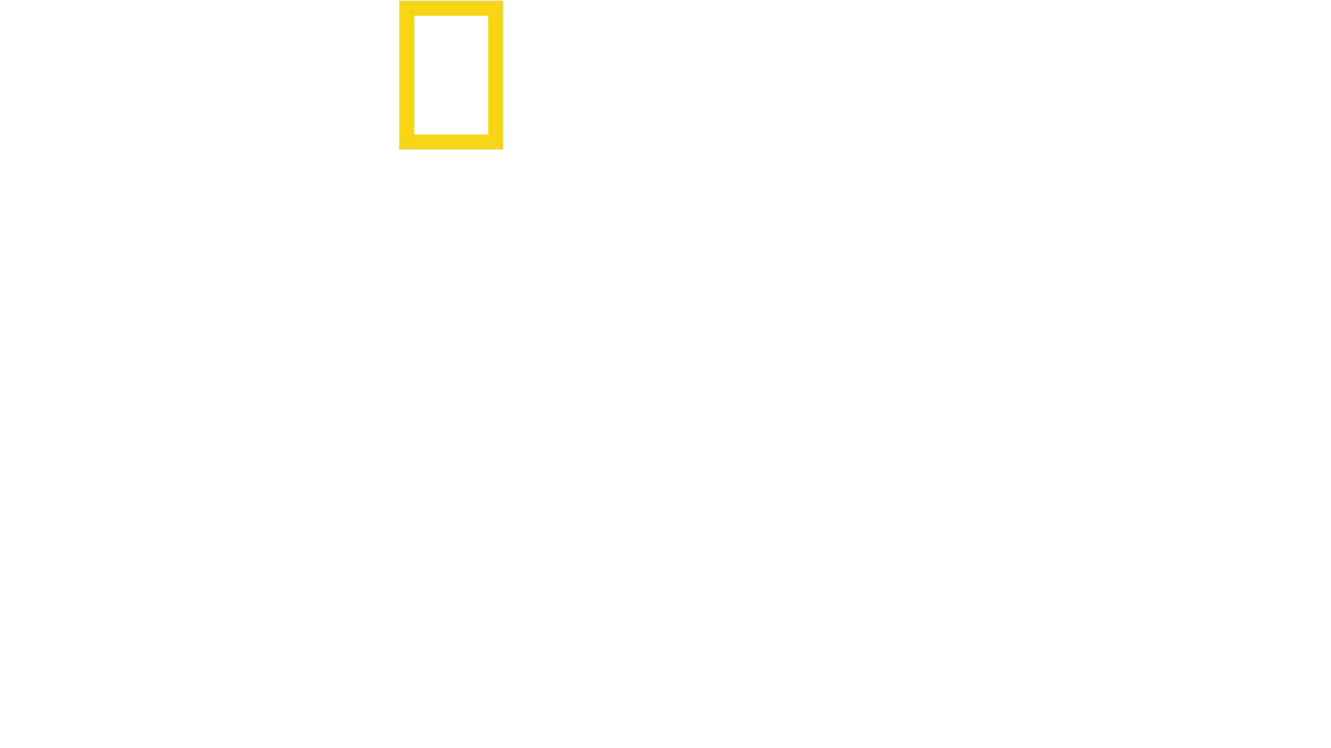 安東尼的星級家常菜