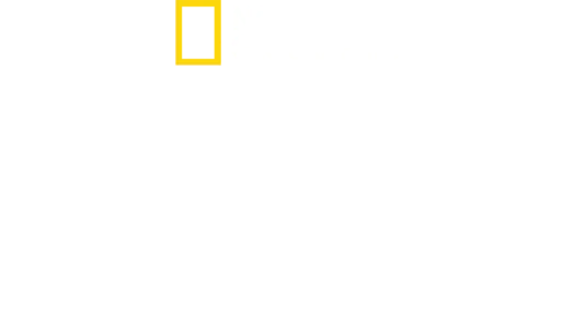 安東尼的星級家常菜