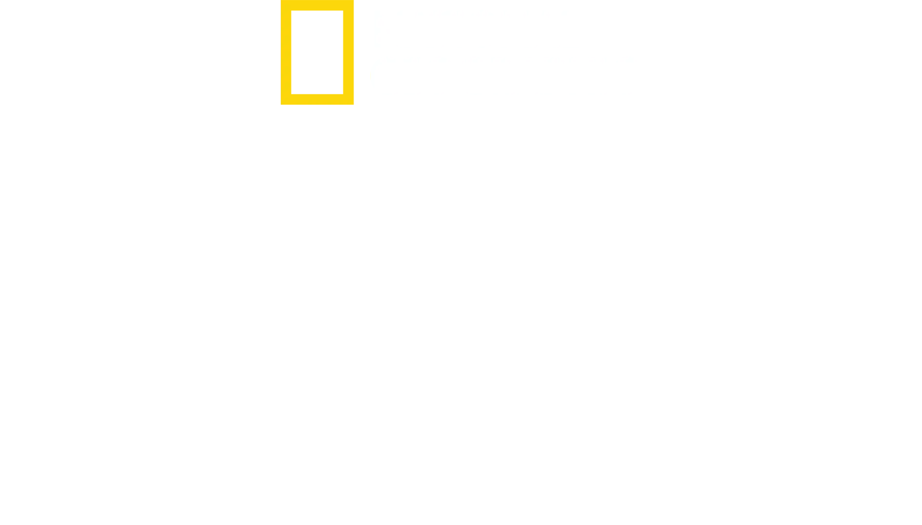 安東尼的星級家常菜