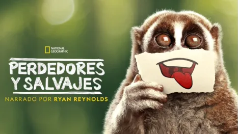 thumbnail - Perdedores y salvajes