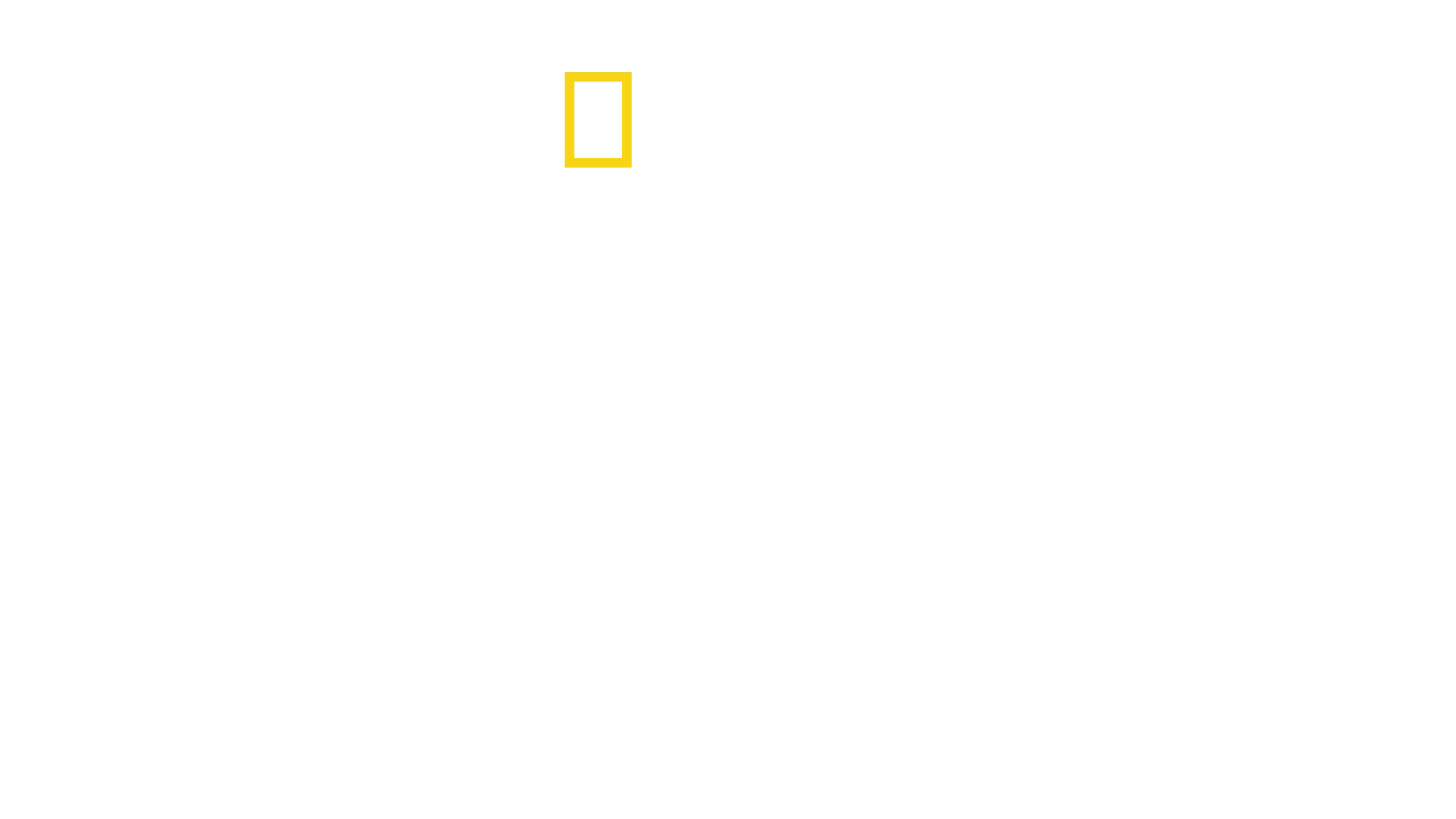 Thailandia: Il Regno Dei Felini