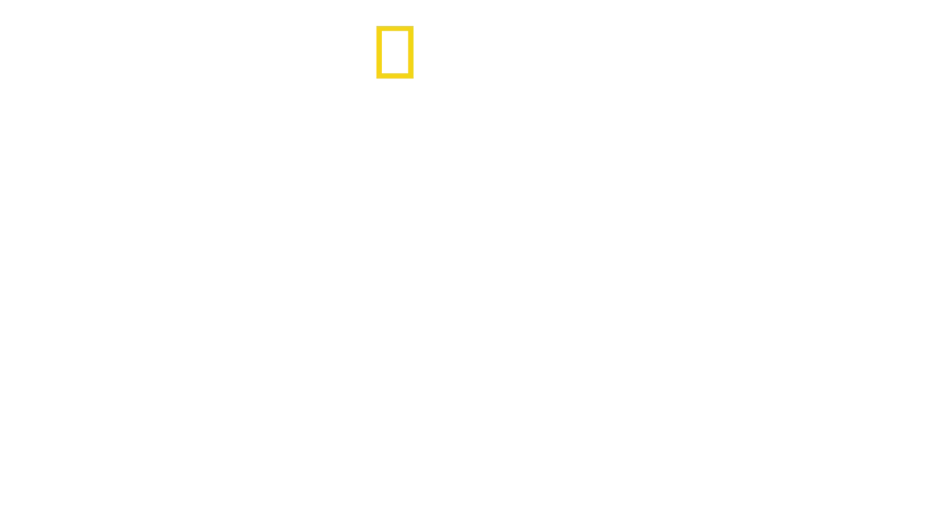 Jane: A Mãe dos Chimpanzés