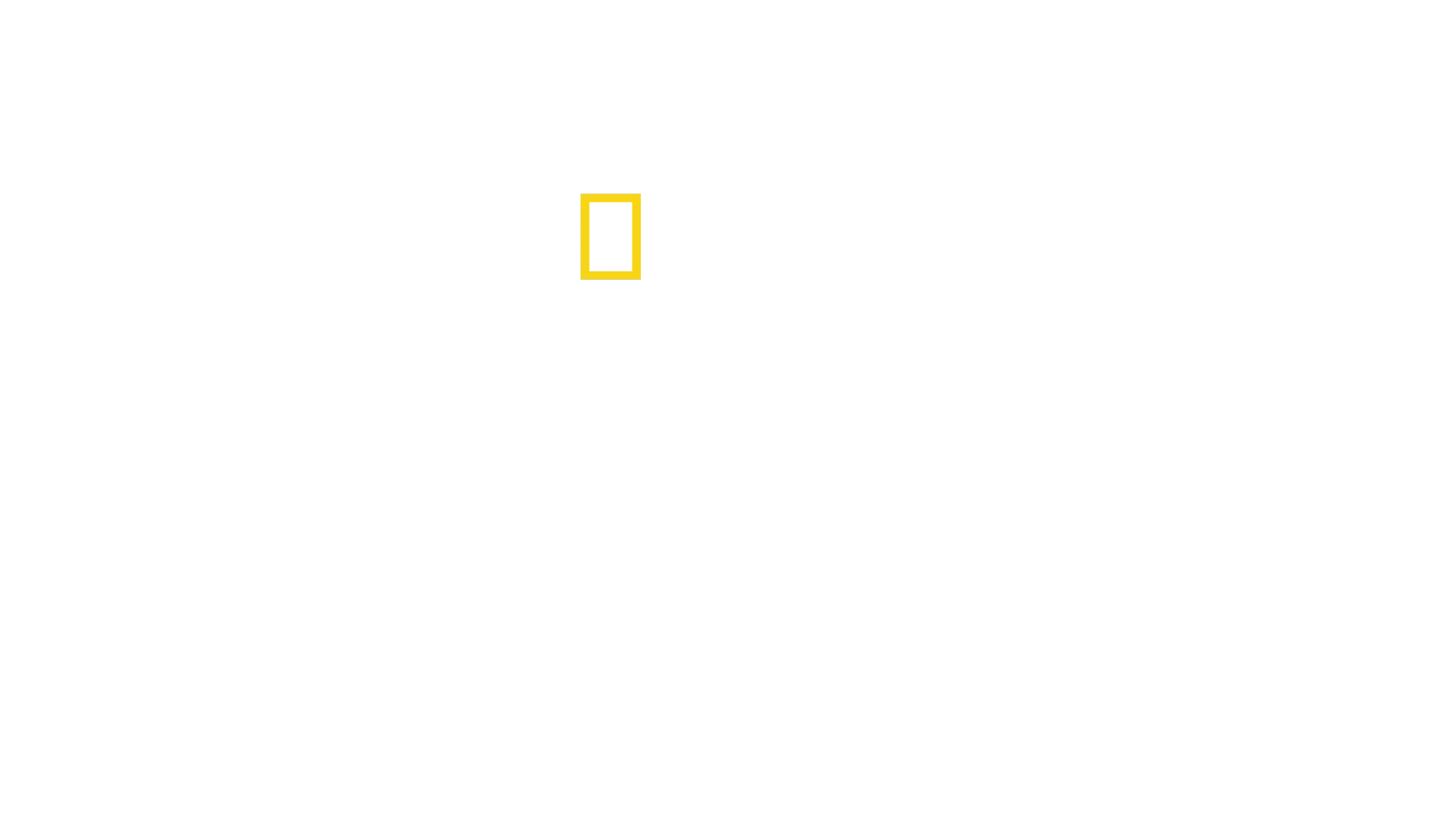 Hexen: Die Wahrheit hinter den Prozessen