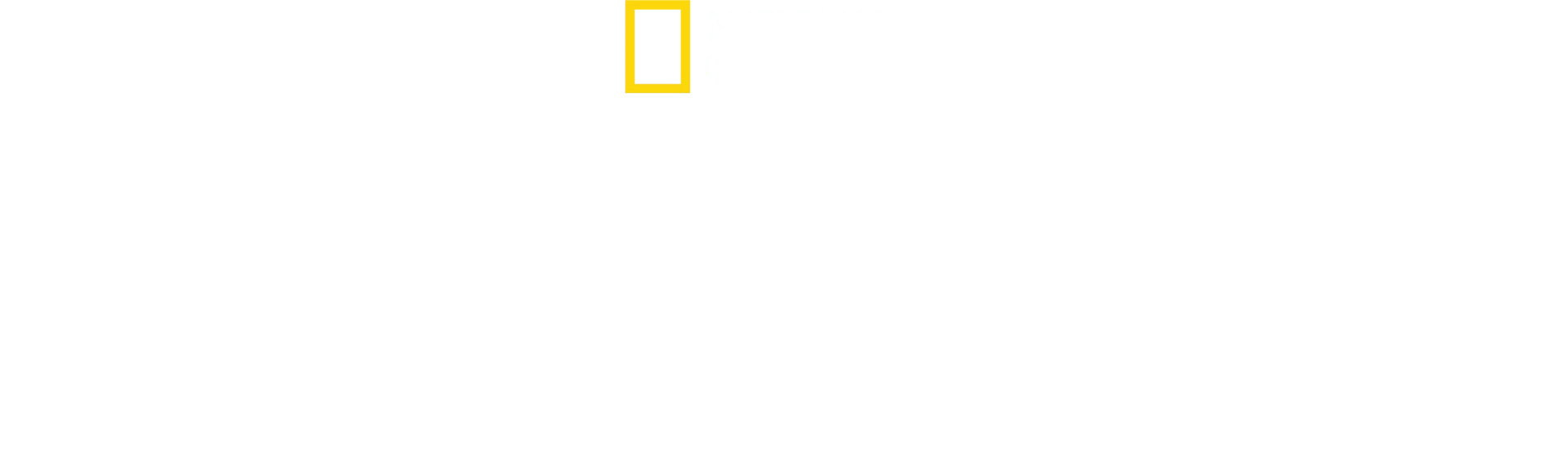 Hexen: Die Wahrheit hinter den Prozessen