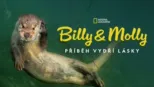thumbnail - Billy & Molly: Příběh vydří lásky
