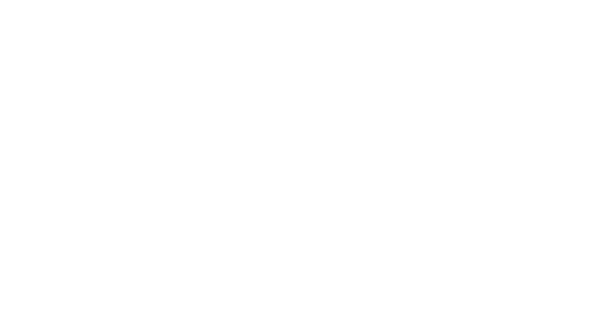 En føråpningsrapport fra Disneyland