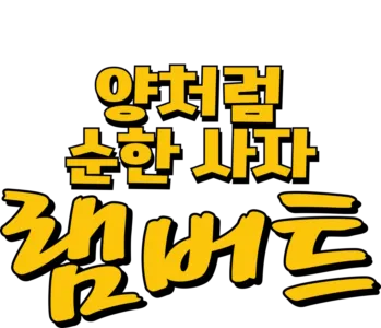 양처럼 순한 사자 램버트