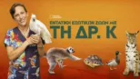 thumbnail - Εντατική Εξωτικών Ζώων με τη Δρ. Κ