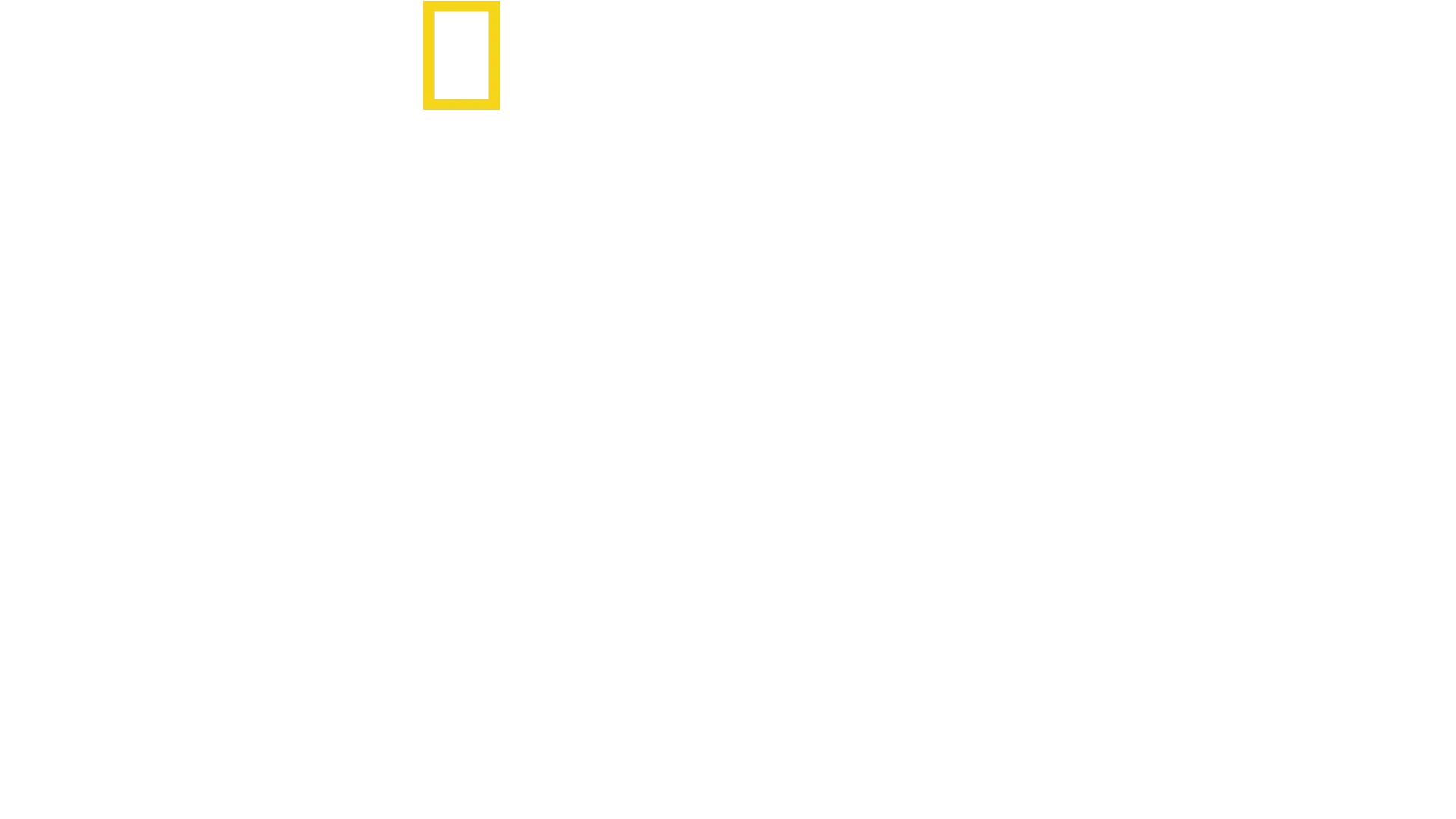 Maailman suurin valkohai?