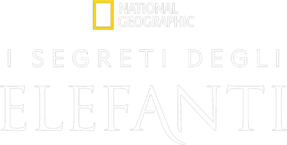 I segreti degli elefanti