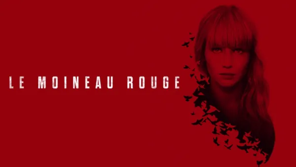 thumbnail - Le Moineau rouge
