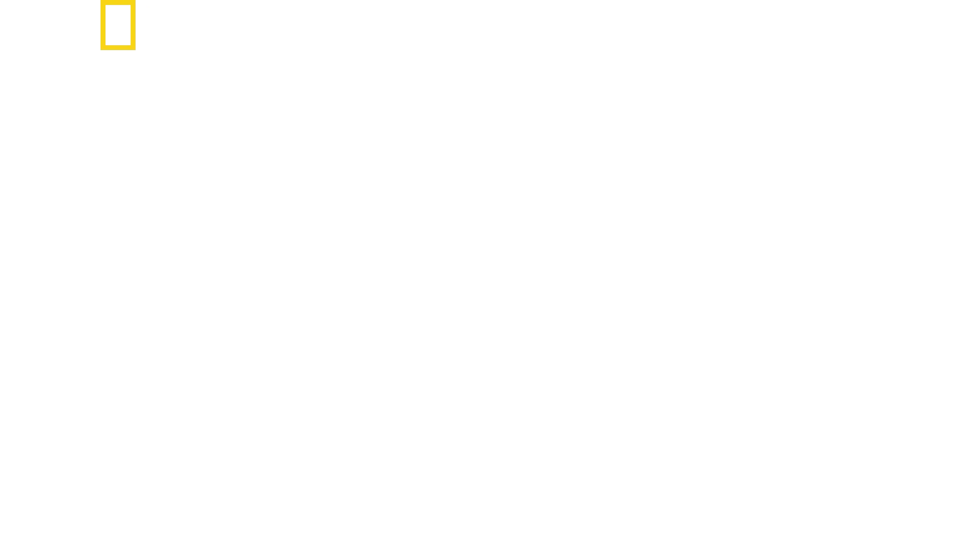 Air Force One: l’aereo del Presidente