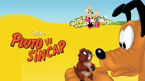 thumbnail - Pluto ve Sincap