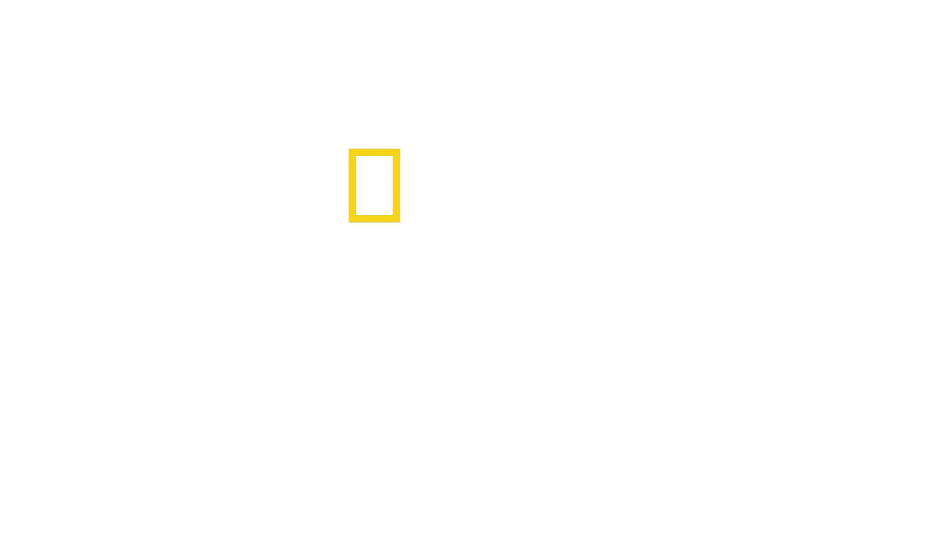 Προσφέροντας Φαγητό