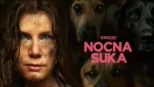 thumbnail - Nocna suka