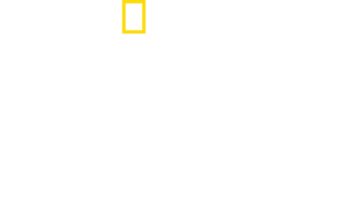 임팩트: 갤 가돗과 함께
