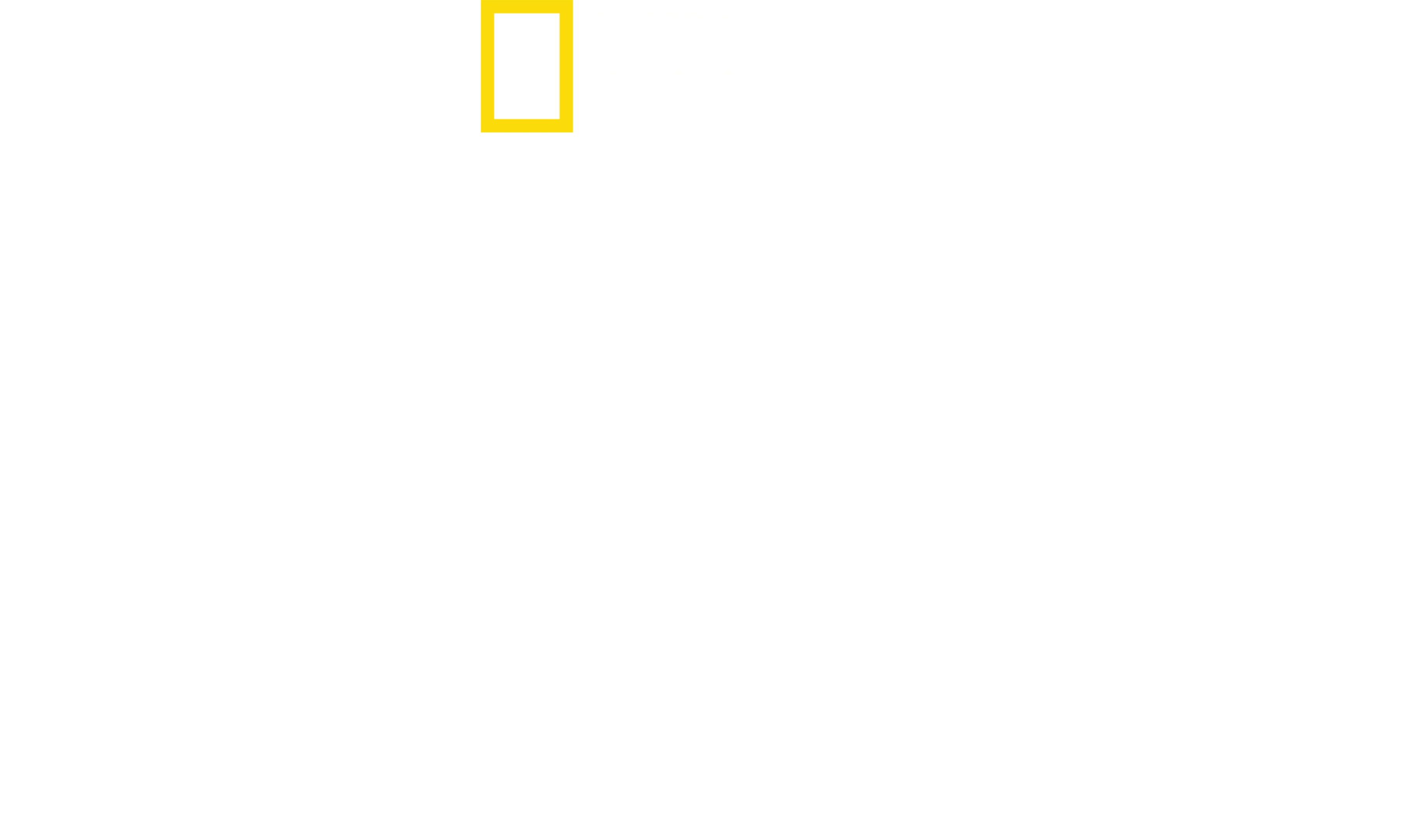 임팩트: 갤 가돗과 함께
