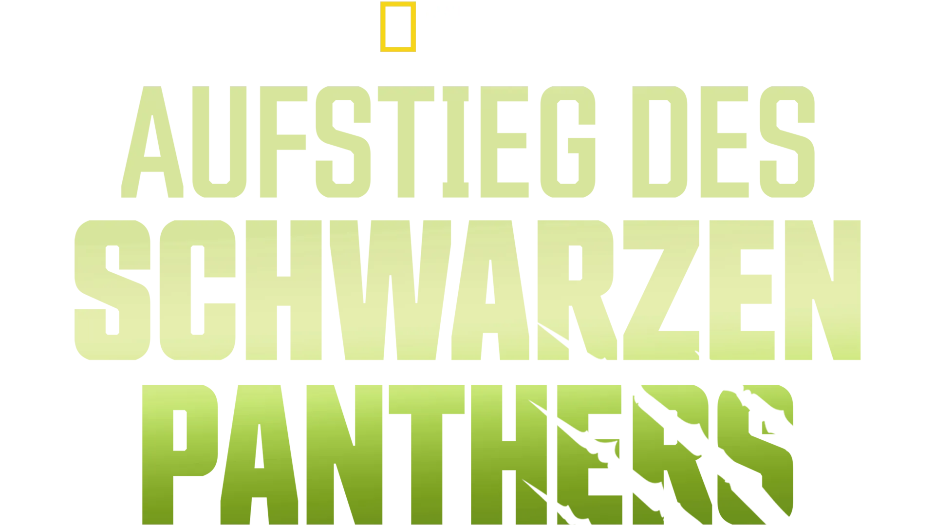 Aufstieg des schwarzen Panthers