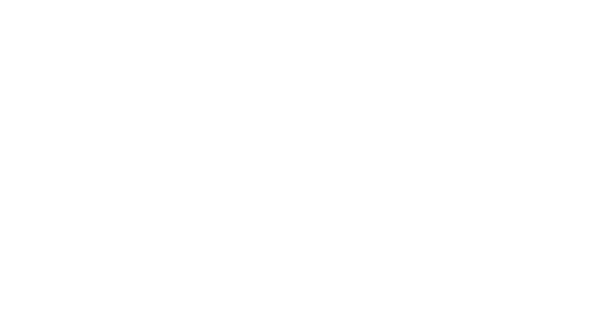 Sea Lions of the Galapagos