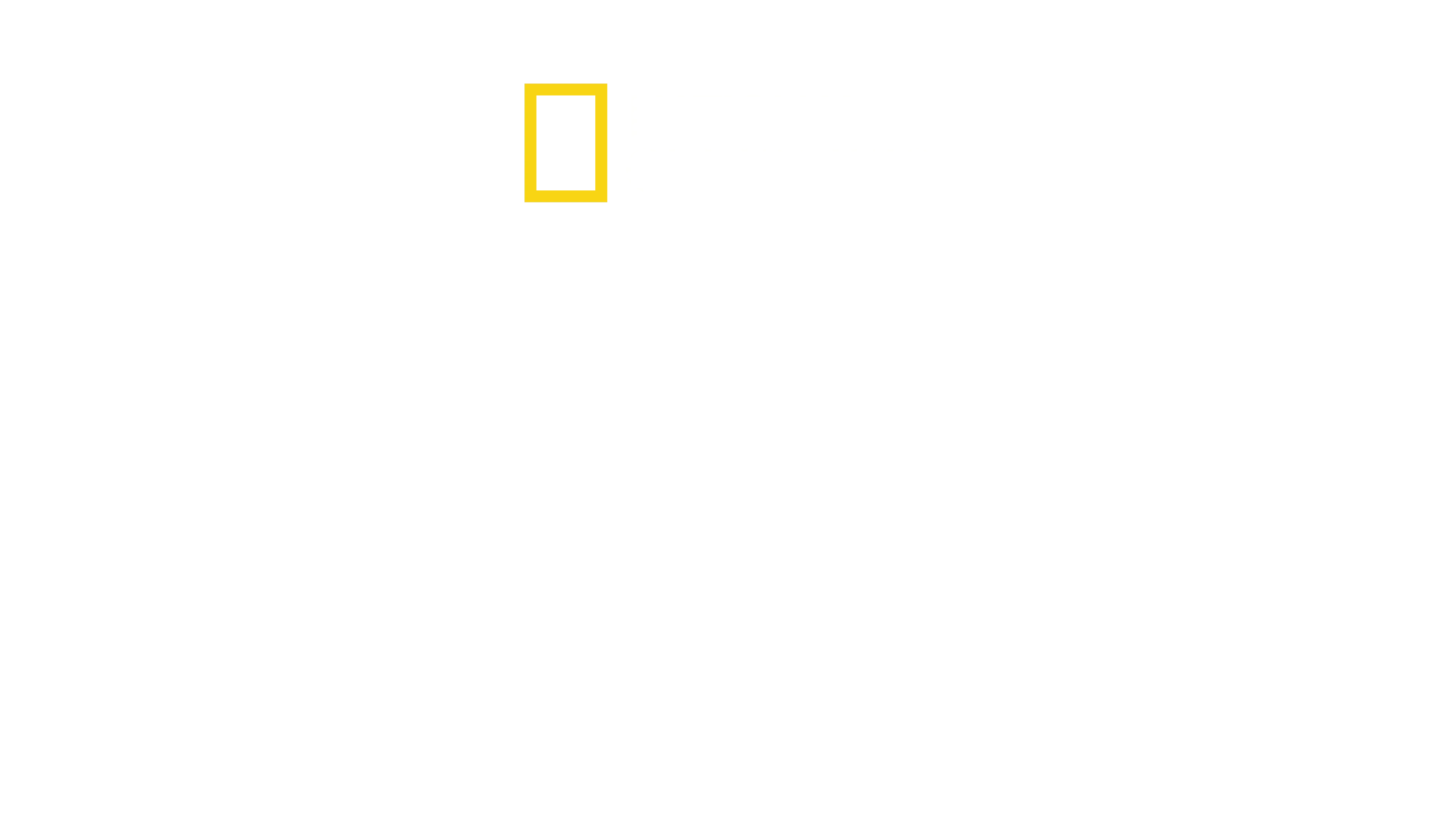 Ruta salvaje con los Fiennes