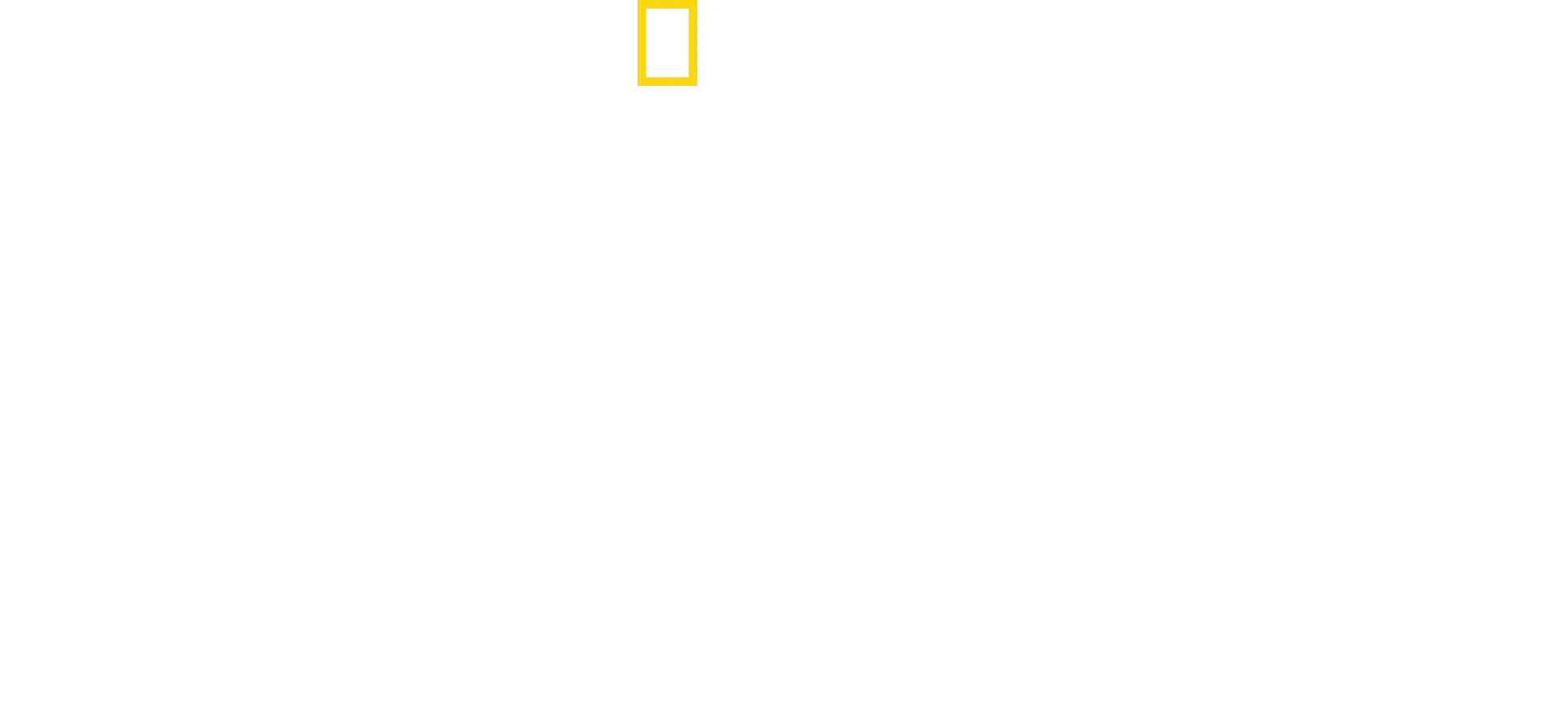 Bobi Wine: The People's President