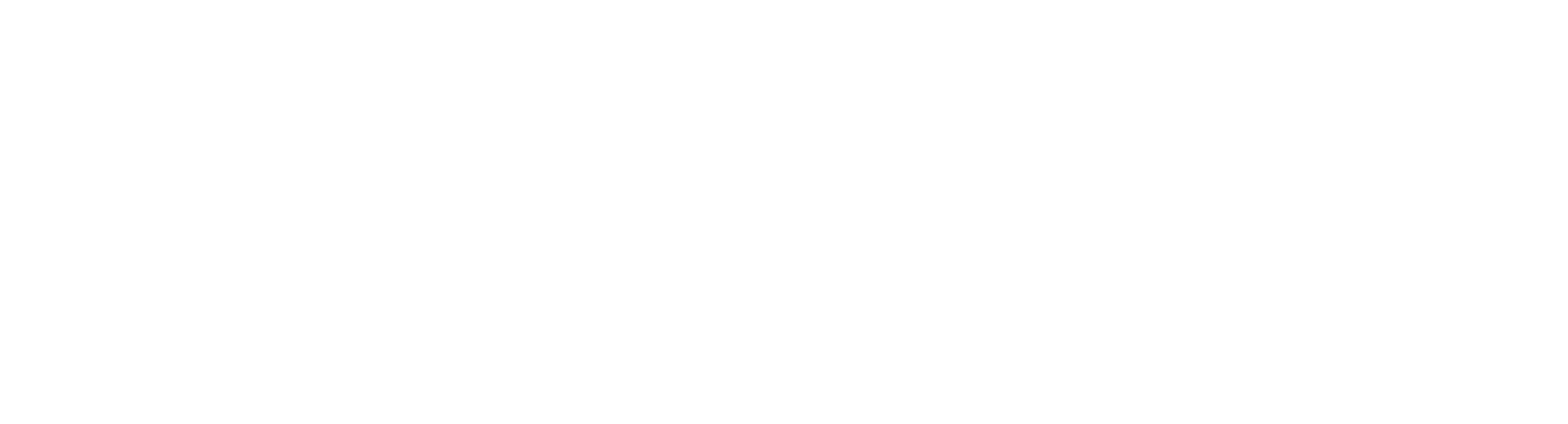 ブルース・スプリングスティーン＆Eストリート・バンド：Road Diary