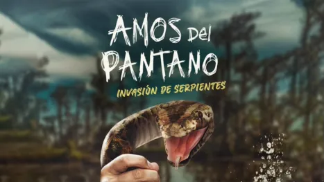 thumbnail - Swamp People: Serpent Invasion