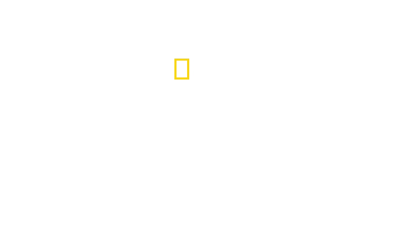 Yellowstone Selvagem