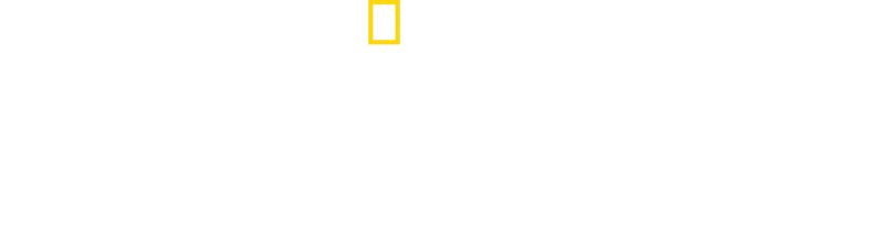 Yellowstone Selvagem