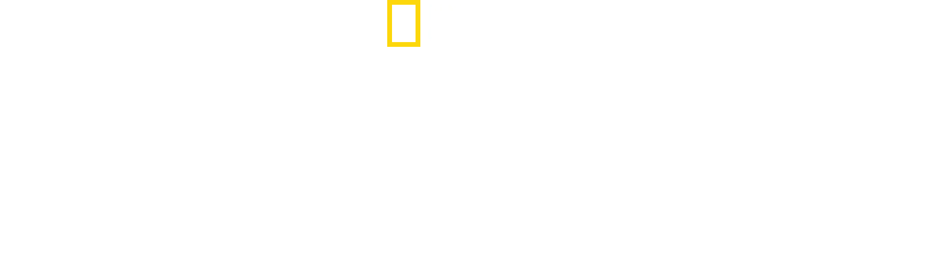 Yellowstone Selvagem