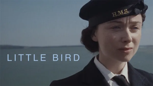 thumbnail - Little Bird