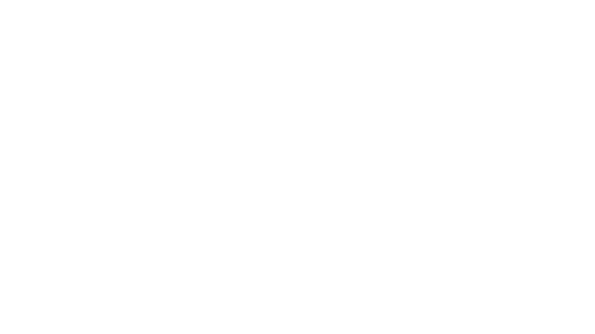 Le Transporteur 2