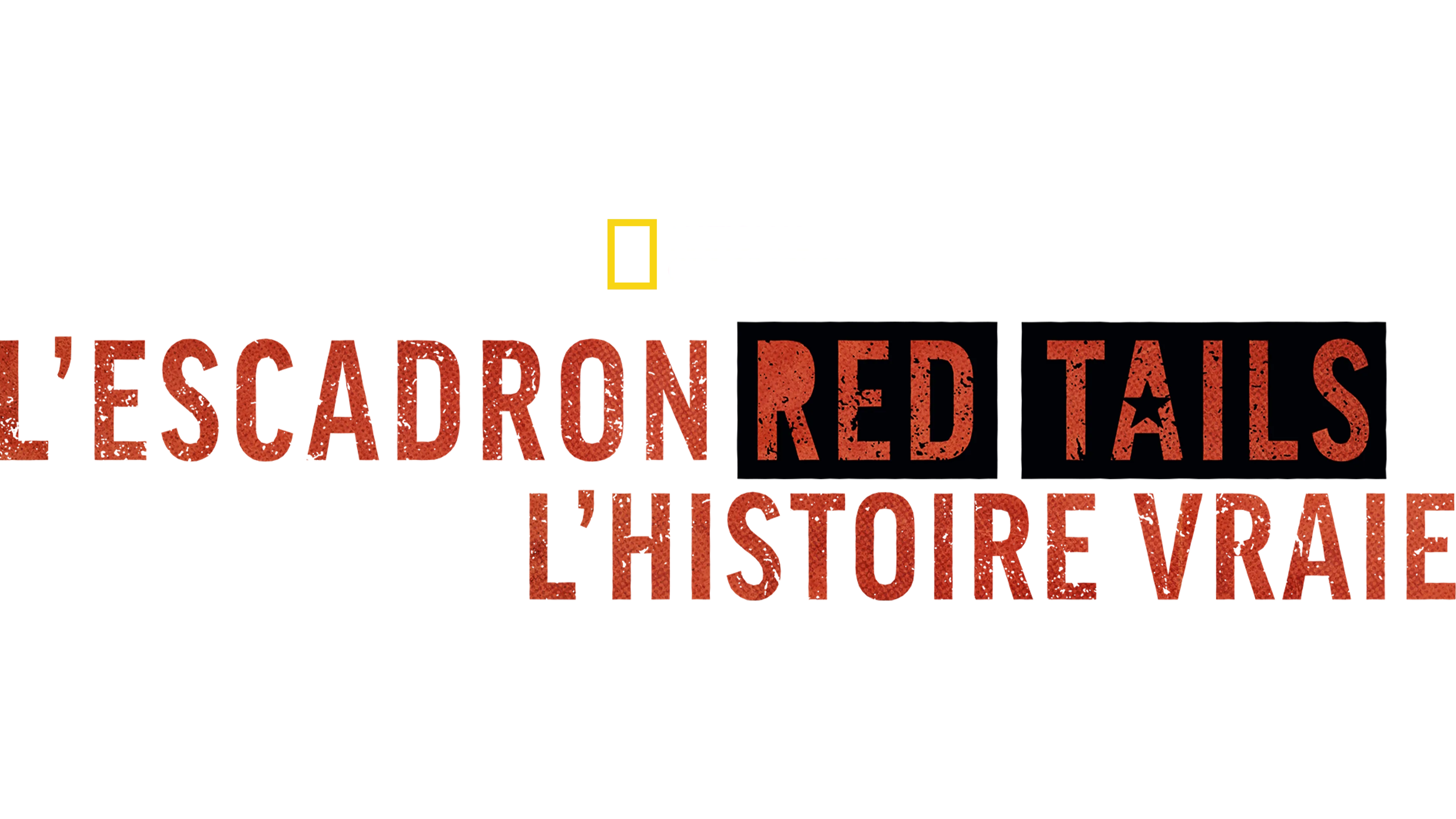 L’Escadron Red Tails : l’histoire vraie