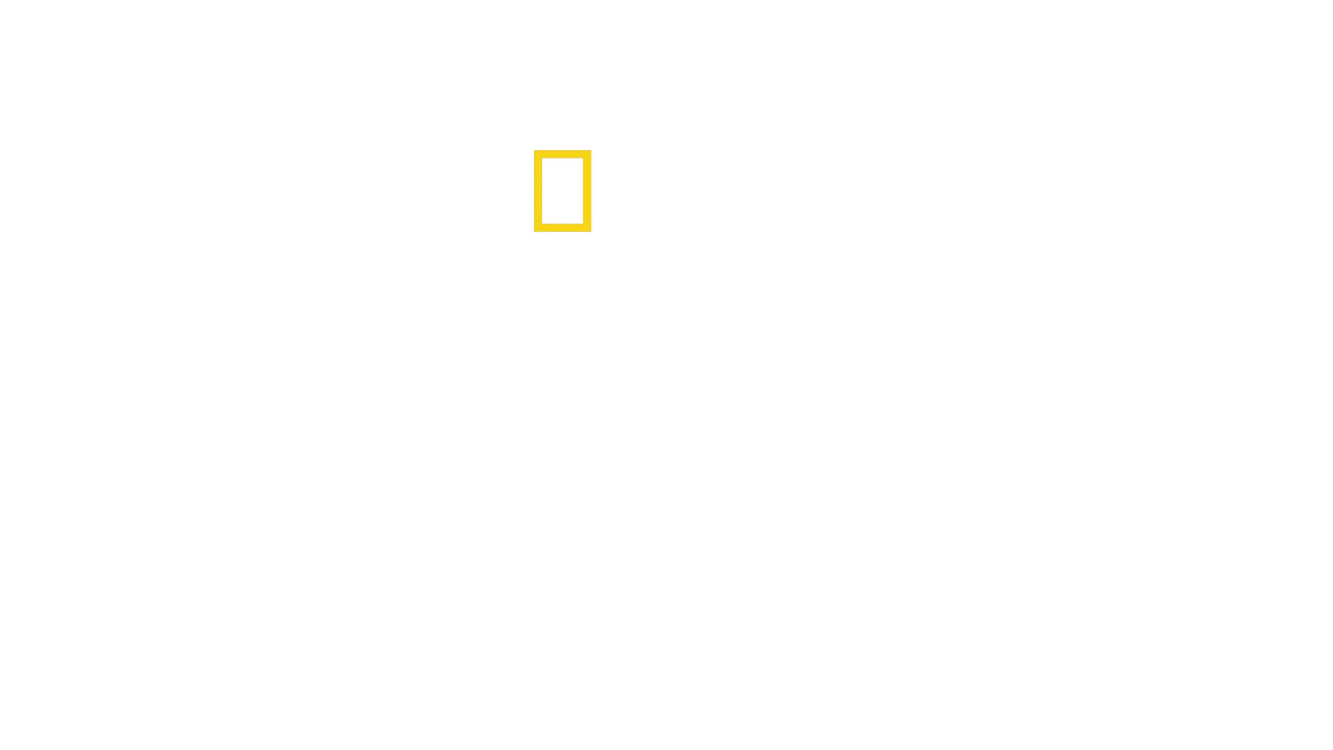 Det vilda Yellowstone