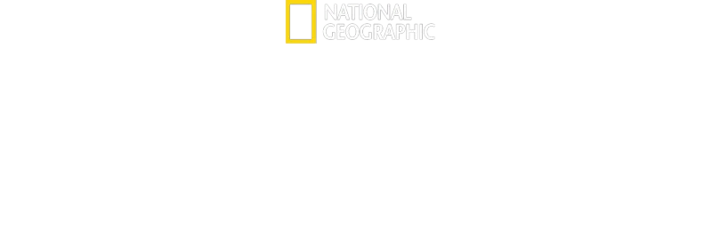 Det vilda Yellowstone