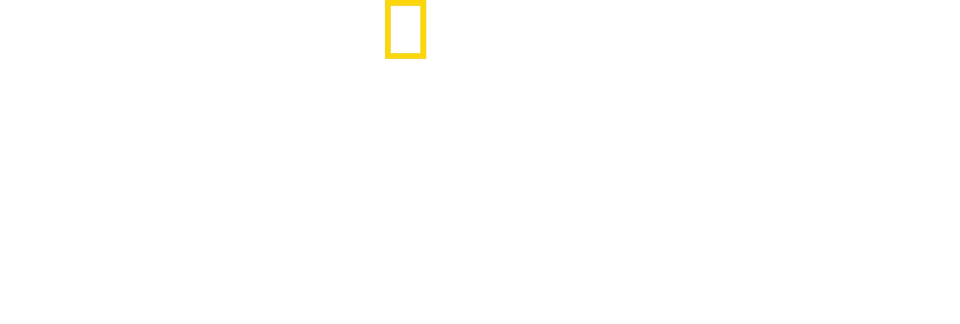 Det vilda Yellowstone