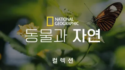 thumbnail - 내셔널지오그래픽 동물과 자연