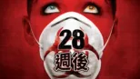 thumbnail - 28週後