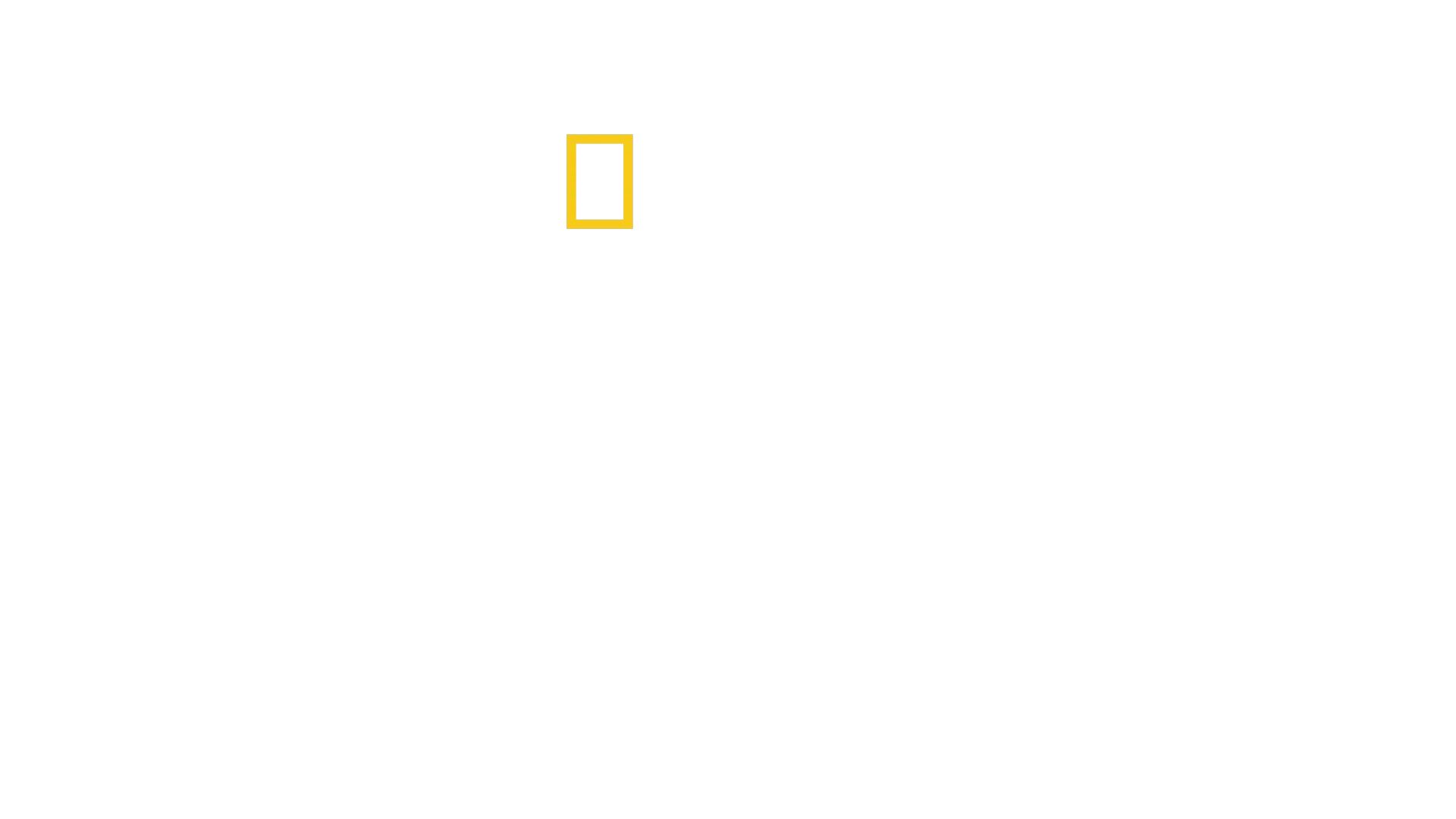 O Território