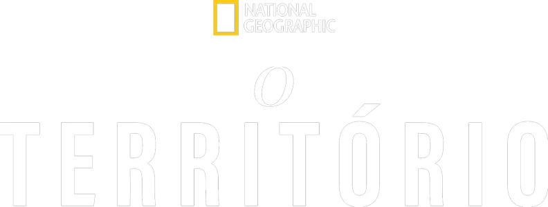 O Território