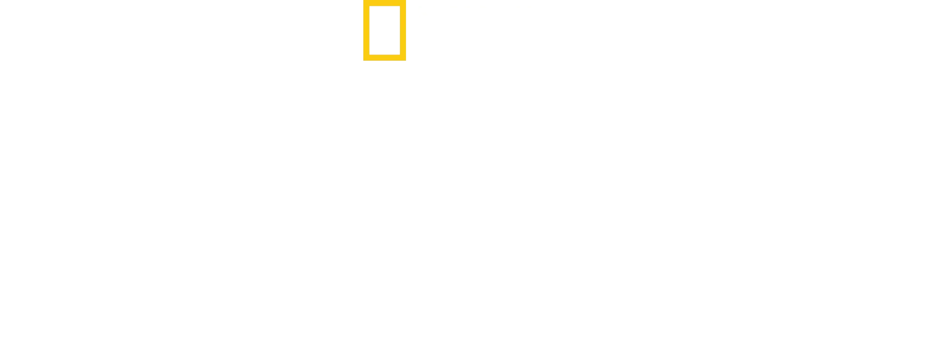 O Território