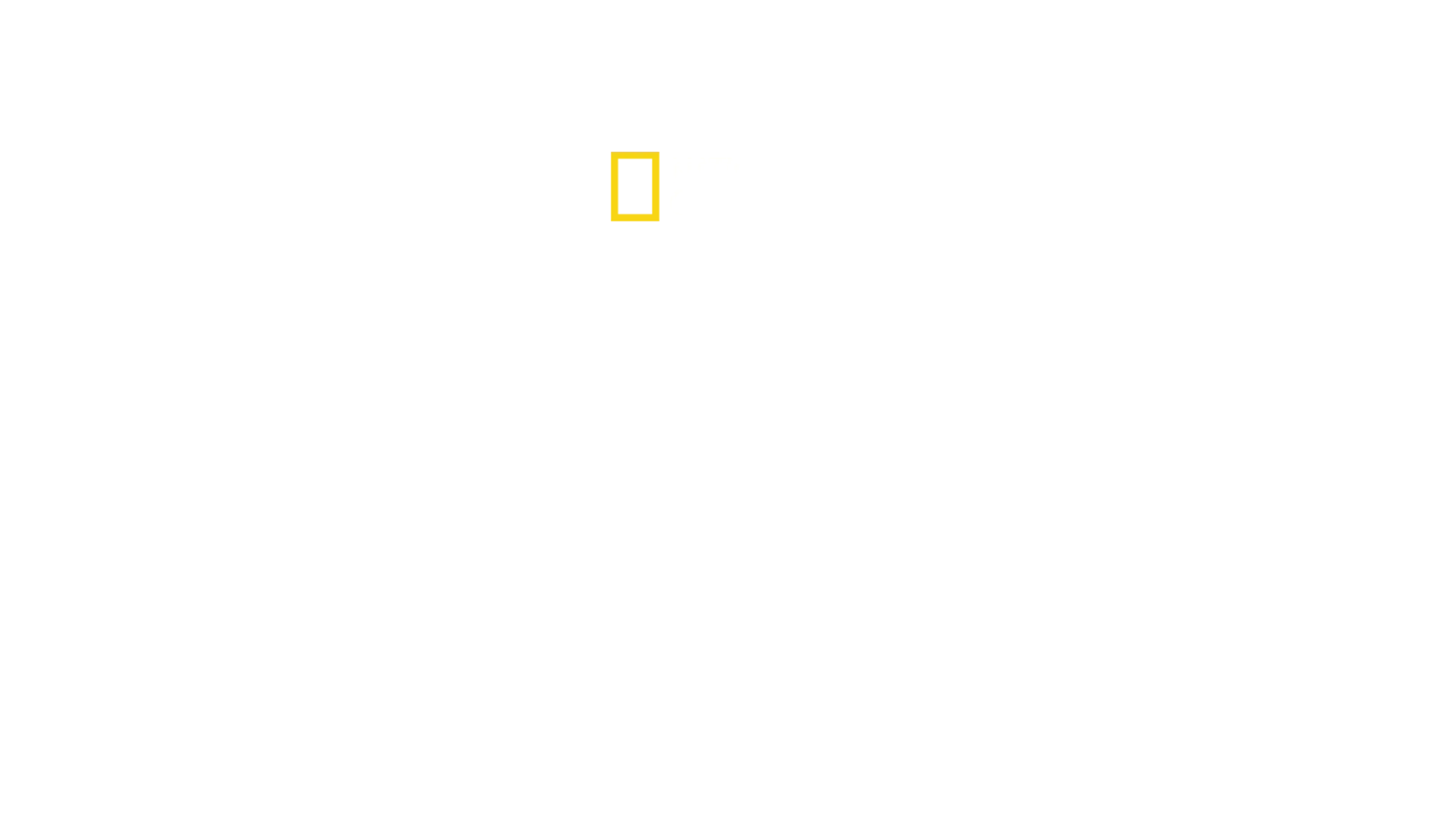 Hai-Alarm im Paradies