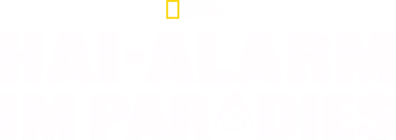 Hai-Alarm im Paradies