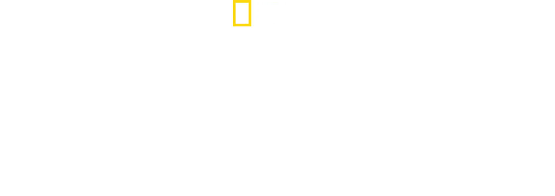 Hai-Alarm im Paradies