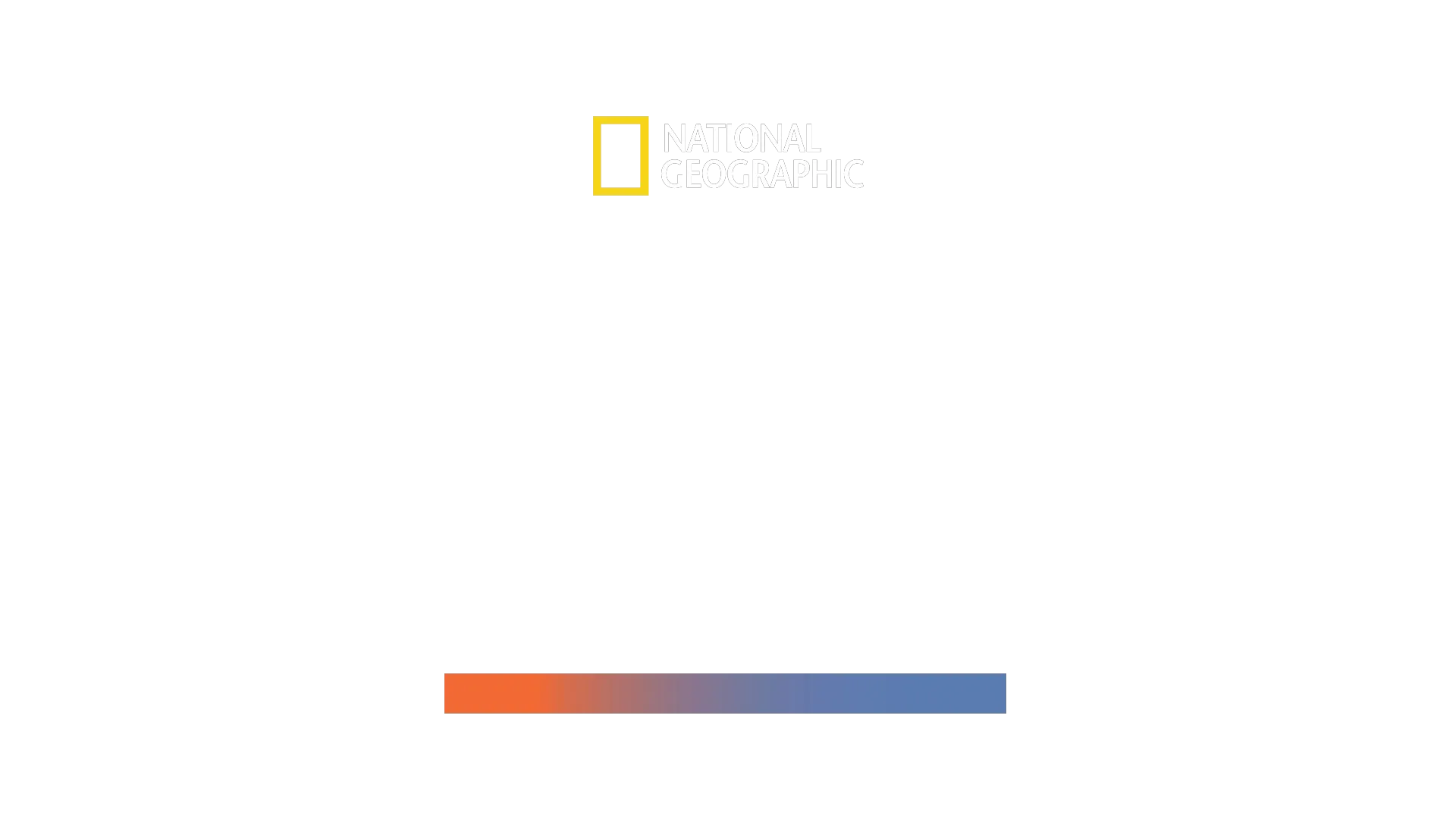 Cabeza de Martillo