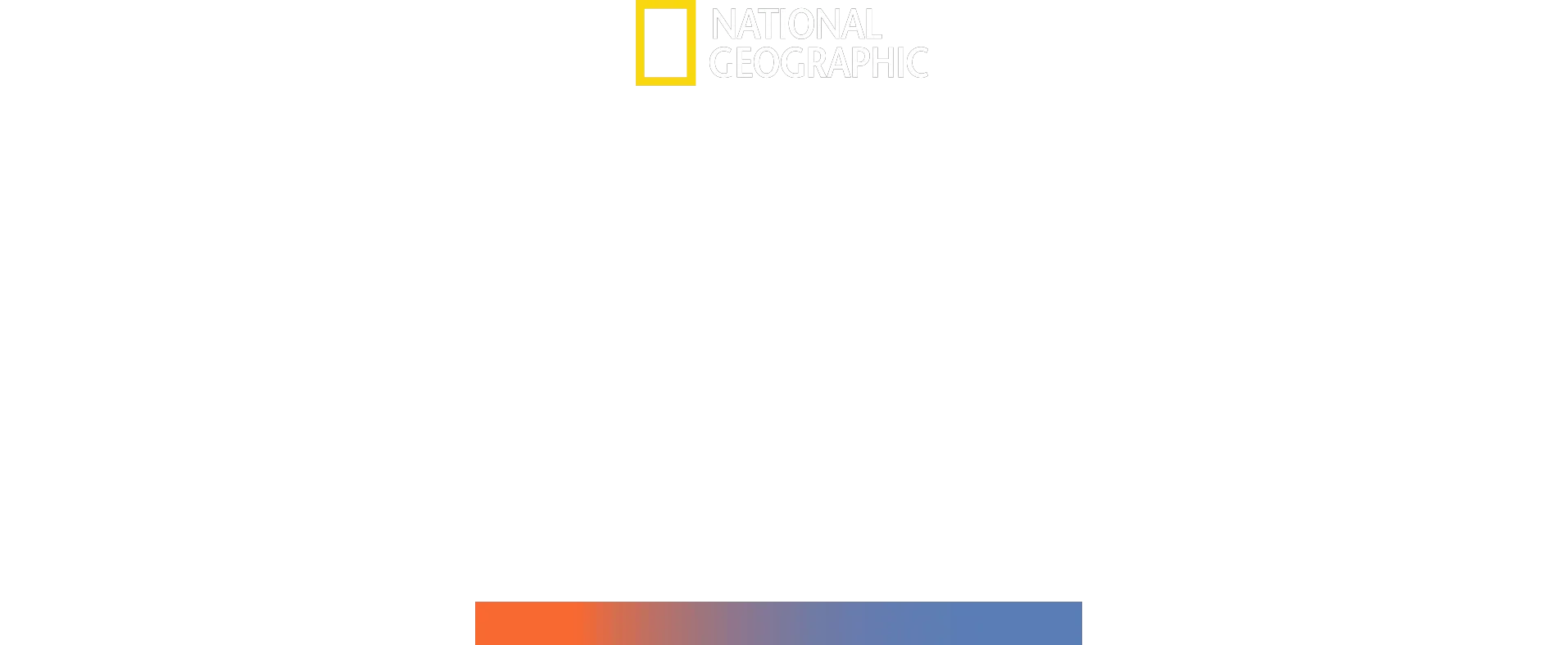 Cabeza de Martillo