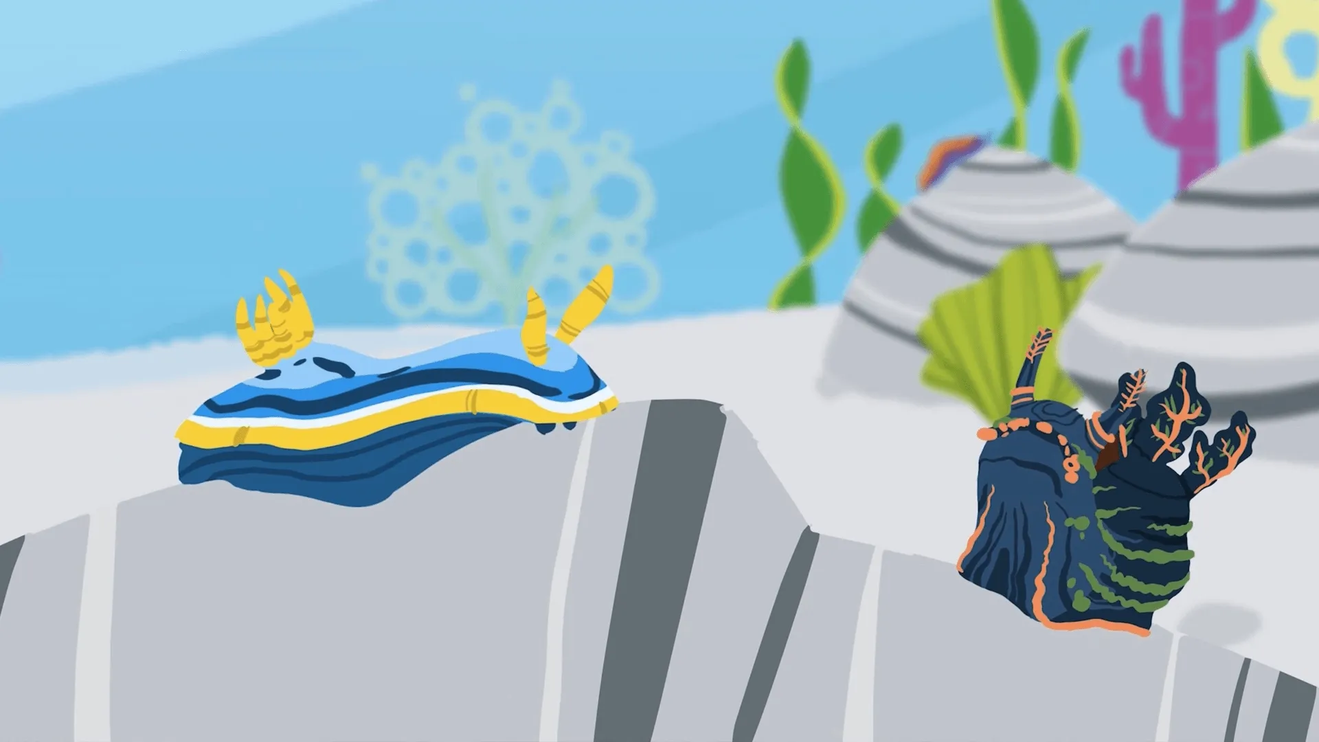 thumbnail - S1:E3 Slimy Sea Slug